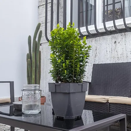 Flaminio * * * * * - Loft Con Giardino * Rome