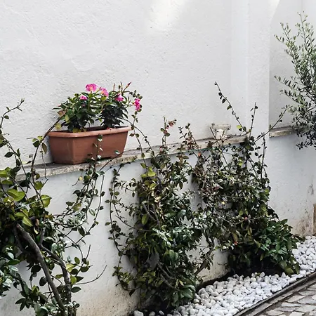 Apartment Flaminio * * * * * - Loft Con Giardino *